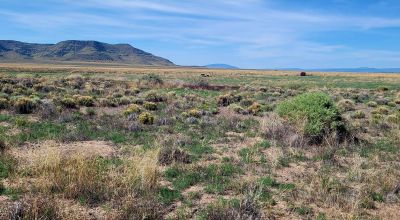 30 acres East of Manassa Colorado - No restrictions