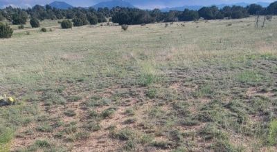 Walking Distance to State Park & Lake