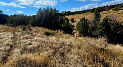 Treed Parcel - Arroyo at Back Property Line - Views - Near 2 Lakes