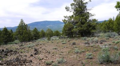 20 acres Oregon Forested Mountain land  near Lakeview & Drews Gap Summit