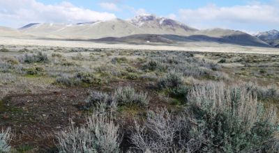 Private 43+ acres * Nevada Mini Ranch * with Massive Western Vistas