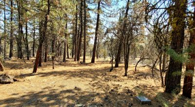 Forest like settings near Bly Mountain Pass * Mobiles, modulars, site-builds allowed