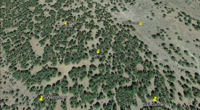10 Treed acres Near Beatty Oregon - Owner financing available