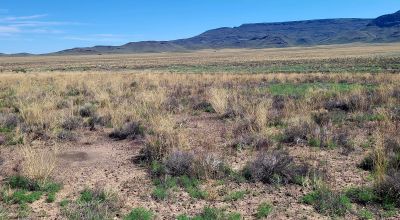 30 acres East of Manassa Colorado - No restrictions