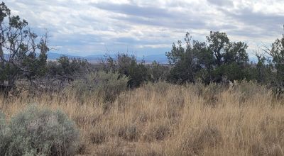 20 acres Scenic New Mexico Huge Southerly Views with Power at the Road
