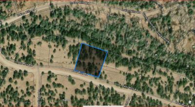 1 Acre Buildable lot in the gated Zapata Subdivision