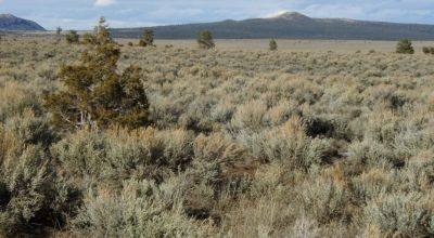 Distant Mountain views. Northern New Mexico West of Taos. 3 adjoining parcels.
