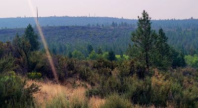 Private 481 acres - 3 sides Winema National Forest - Cooks Canyon - Pines Aspens Spruce Firs