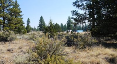 Southern Oregon Sprague River - Trees - Power - Main Road Access