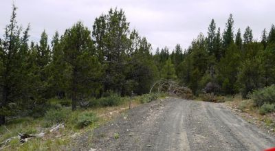 40 acre Forested parcel includes base of the hill and part of the hill - Views Trees