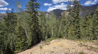 Ouray Colorado -  Red Mountain Mining District- 10 Acres Treed Mountain land