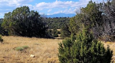 Treed Parcel - Arroyo at Back Property Line - Views - Near 2 Lakes