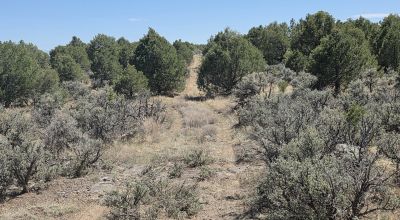 Taos County - Tres Piedras New Mexico 1 acre CAMP, RV, BUILD