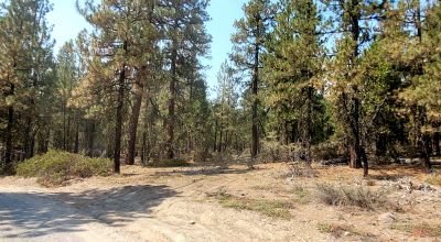 Spacious Treed Parcel - Southerly facing - 5+ acres