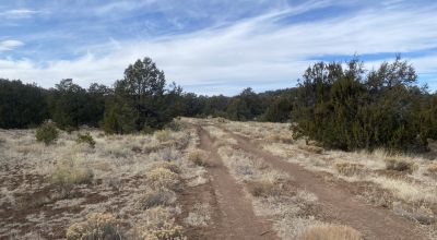 Rare! Bureau of Indian Affairs Inholding 40 acres - New Mexico