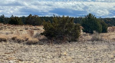 5.02 Acres in Ramah, NM. RV's & MH Allowed $0 DOWN - The Off Grid Escape You Are Looking For!