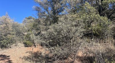 $20,000 - 1.91 Acres Silver City, New Mexico