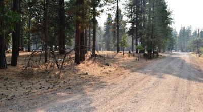 Keno Oregon Heavily Wooded Building Lot - Over One Acre - Power