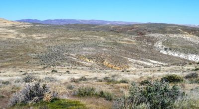 80 acres of Rolling Hills  only $49,000
