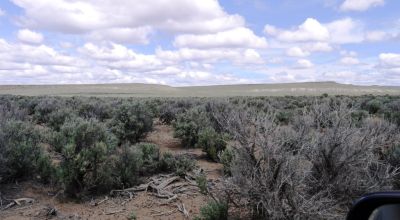 40 acres Near Massacre Lake - Extreme  Remoteness - Borders BLM lands