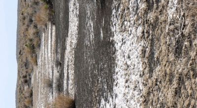 Classic Nevada Desert - Just off Hwy 95