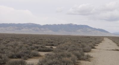 2 adjoining 80 acre parcels * Dolly Varden