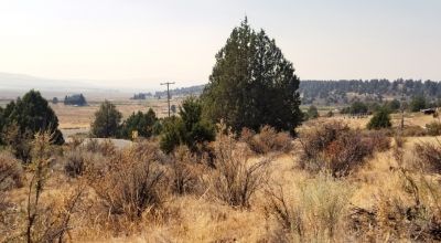 Huge Views of the Sprague River Valley