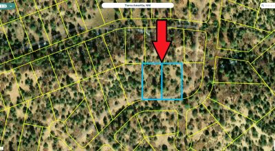 Two Adjacent Lots in Tierra Amarilla - Over One Acre - Wooded