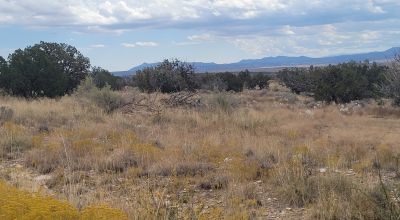 20 acres Scenic New Mexico Huge Southerly Views with Power at the Road