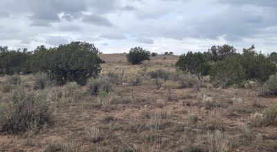 30 acre Central New Mexico Property Windmill Ranch Excellent Roads. Power at Road