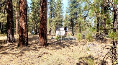 Huge trees. Wet weather stream in back * Fixer upper  or Tear it down and start over again