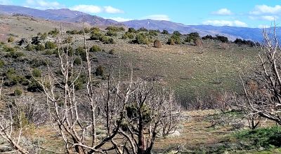 Mountain Land South of Pyramid Lake - Rock Outcroppings - Views Overlooking Palomino Valley
