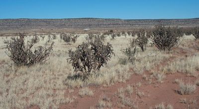 High Desert Escape Near Conchas Lake