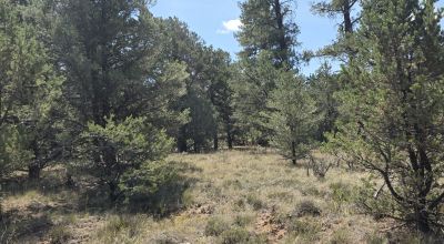 New Mexico Forested Mountain land - Borders Santa Fe National Forest & BLM Lands