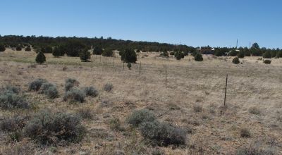 10 acres -Trees and Small Hill - Candy Kitchen Area New Mexico OWF