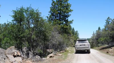 3 adjoining Residential Lots * buy 1 or all 3 * Trees * mobiles allowed