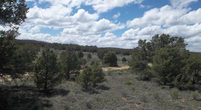 Candy Kitchen area New Mexico - Treed Parcel - Camp RV Build