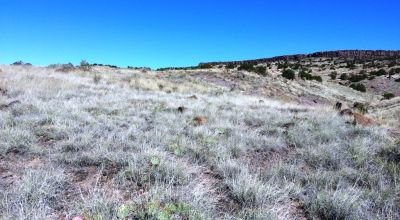 14 town lots Grants New Mexico - On the Hill above town - Sold individually or in groups