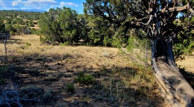Treed Parcel - Arroyo at Back Property Line - Views - Near 2 Lakes