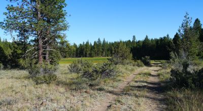 Unique and Rare Parcel Near Bly Mountain Pass - Borders  Pond - Meadows