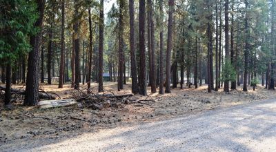 Keno Oregon Heavily Wooded Building Lot - Over One Acre - Power