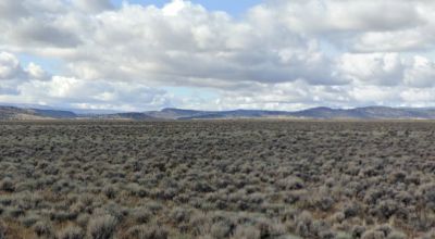 20 acres Remote off the Beaten Path - Wide open spaces - West of Ravendale & Termo 😎