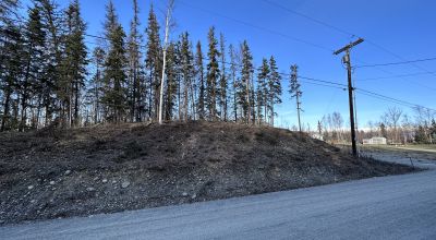 Residential Treed Parcel - Western Outskirts Wasilla Alaska - Backs to Open Space