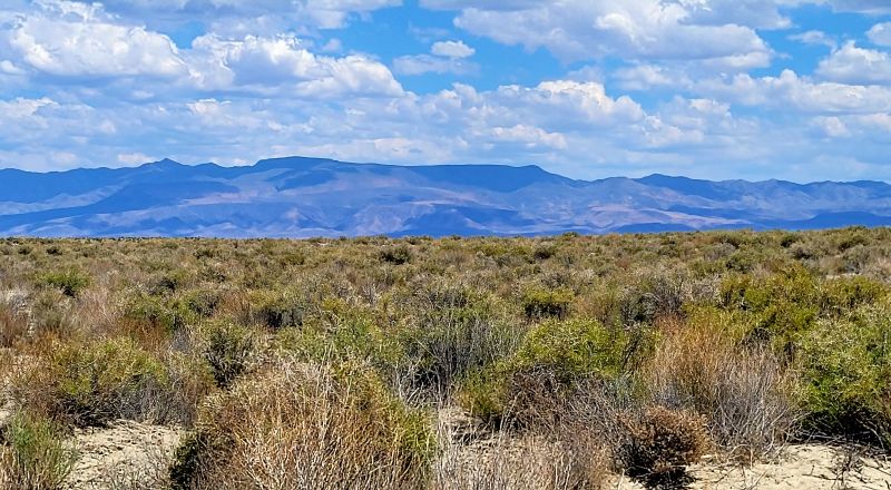 1 Full Section of  Nevada Desert & SAND HILLS  *  1 mile by 1 mile *