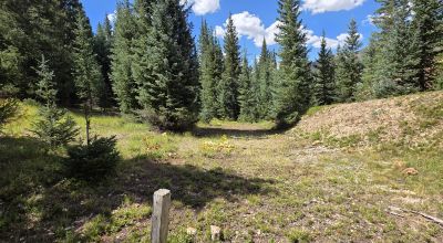 Ouray Colorado -  Red Mountain Mining District- 10 Acres Treed Mountain land