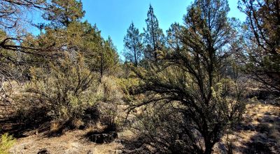 Sprague River Valley Views * Trees * Mobiles, modulars, site-builds ok