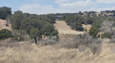 Surrounded by Santa Fe National Forest - Near Las Campanas and Golf Course - 8 Miles from Santa Fe
