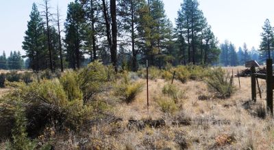 Southern Oregon Sprague River - Trees - Power - Main Road Access