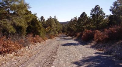 Timberon New Mexico Half-acre Residential Parcel