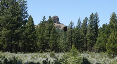 2 Parcels 5 ac + 15 ac -  Remote and off the Beaten Path Forested Parcel
